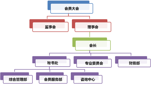 组织结构(图1)