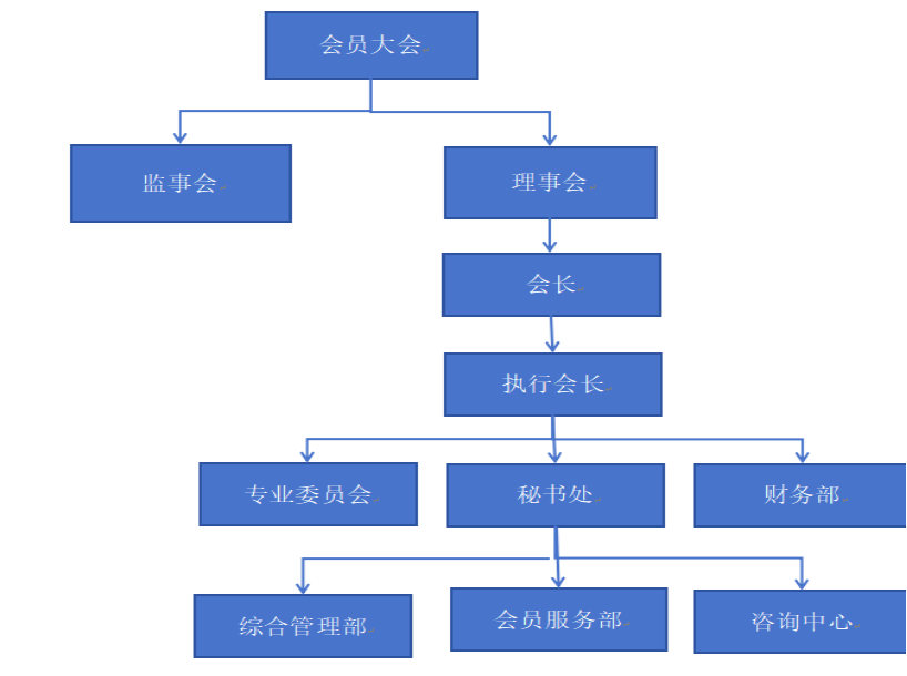 组织结构(图1)